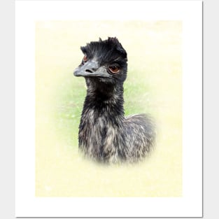 Emu Posters and Art